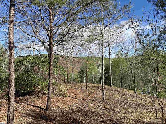 1.1 Acres of Residential Land for Sale in Marietta, South Carolina