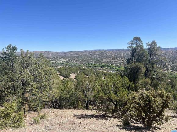 19.9 Acres of Land for Sale in Mimbres, New Mexico