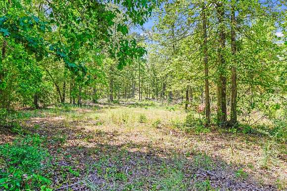3 Acres of Residential Land for Sale in Brookeland, Texas
