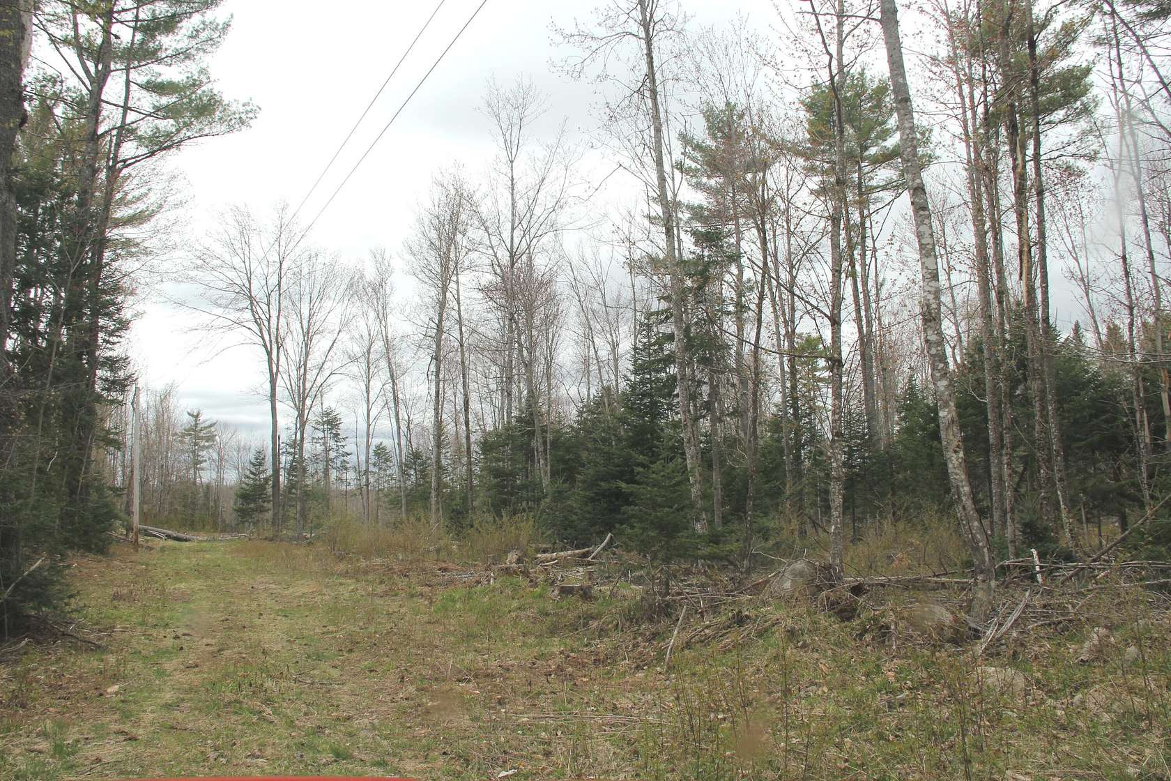 95.1 Acres of Land for Sale in Harmony, Maine