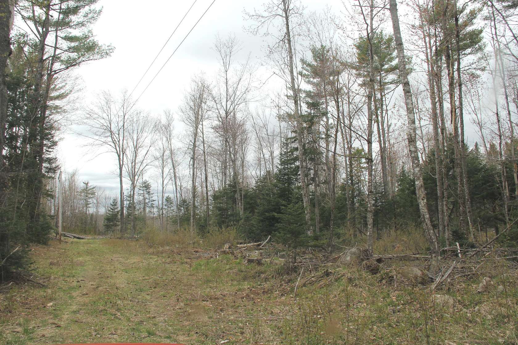 95.06 Acres of Land for Sale in Harmony, Maine