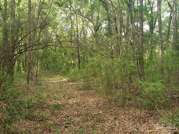 4 Acres of Residential Land for Sale in Milton, Florida