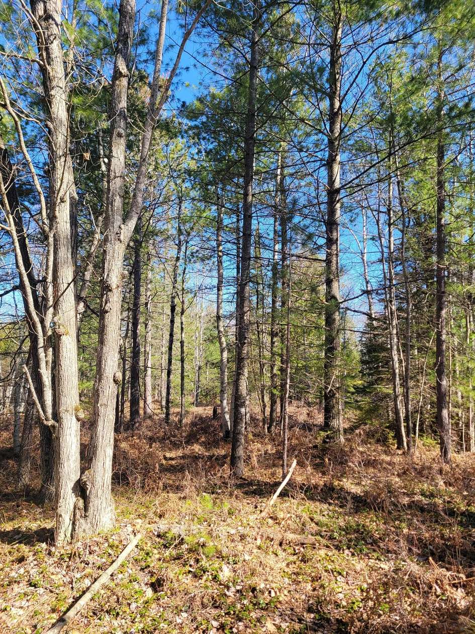 4.6 Acres of Residential Land for Sale in Ocqueoc, Michigan