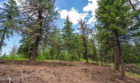 10.1 Acres of Land for Sale in Coeur d'Alene, Idaho