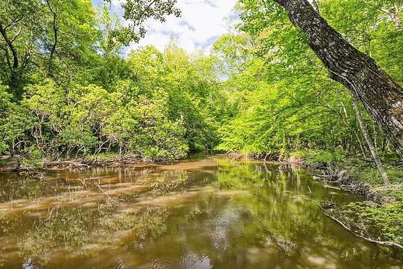 142 Acres of Recreational Land for Sale in Reynolds, Georgia