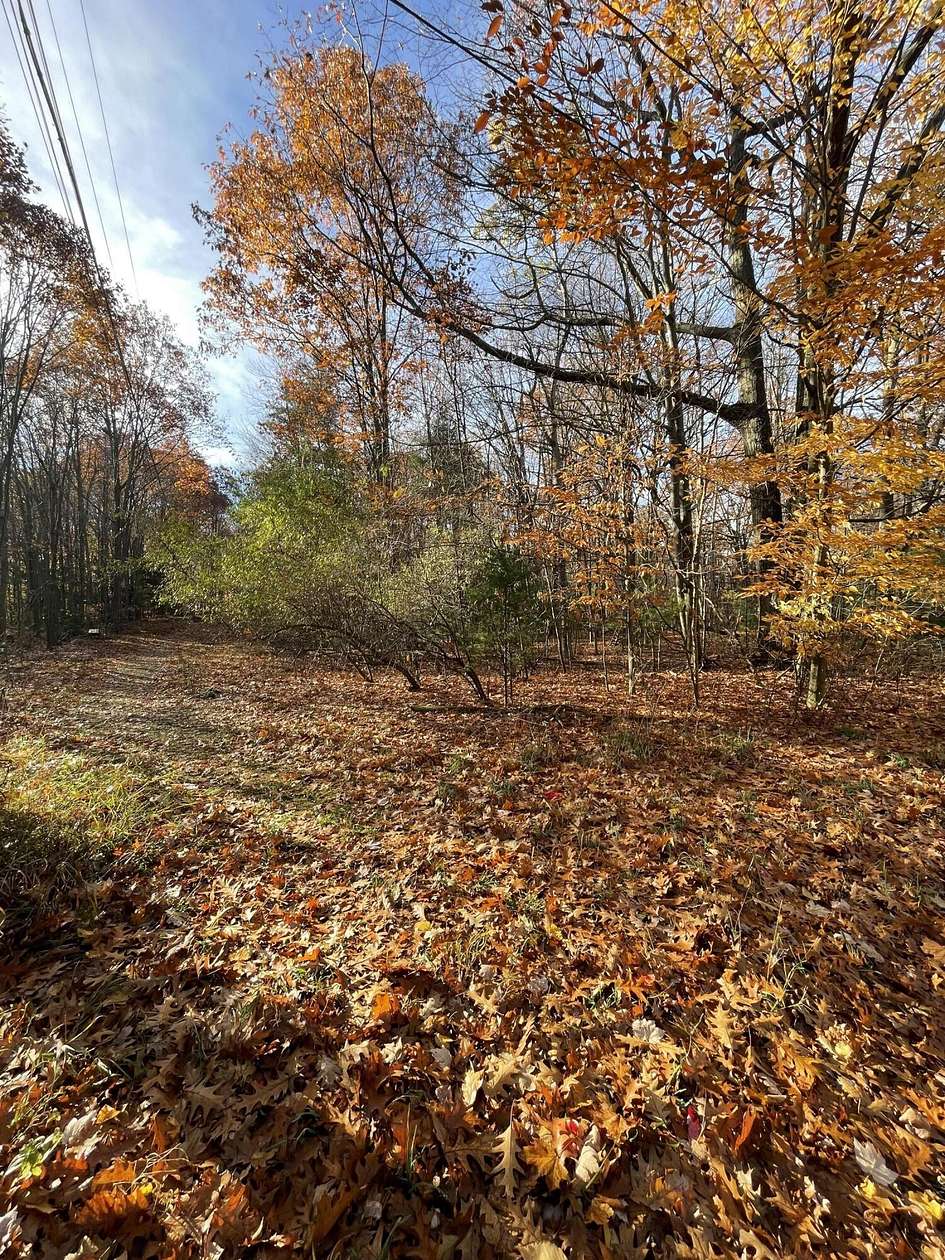 0.34 Acres of Land for Sale in Ludington, Michigan