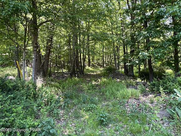 1.2 Acres of Residential Land for Sale in Swiftwater, Pennsylvania