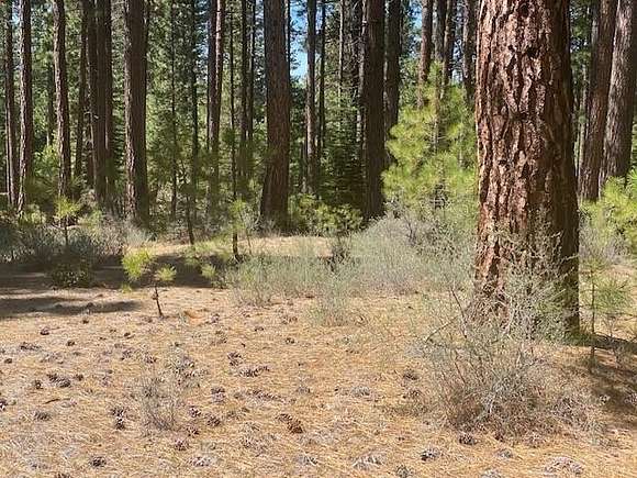 0.81 Acres of Residential Land for Sale in Clio, California