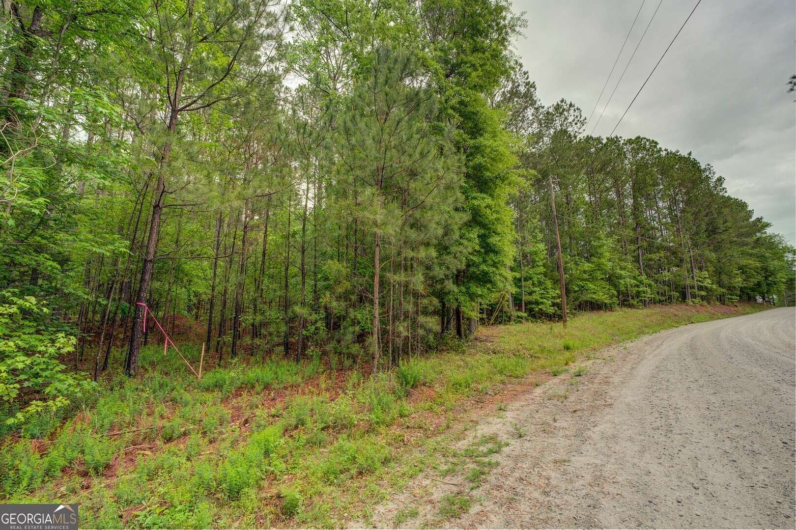 33.1 Acres of Recreational Land for Sale in Shady Dale, Georgia