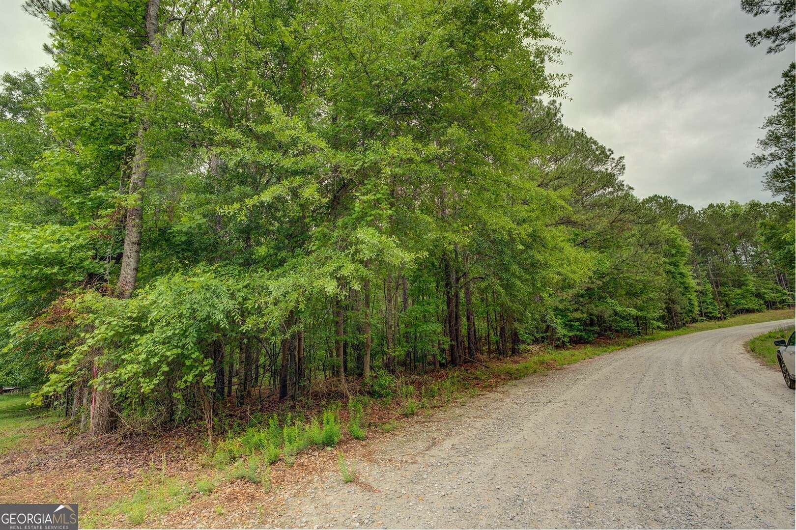 32.6 Acres of Recreational Land for Sale in Shady Dale, Georgia