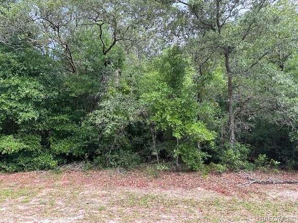 1.2 Acres of Residential Land for Sale in Hernando, Florida