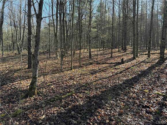 8 Acres of Land for Sale in Dansville Town, New York