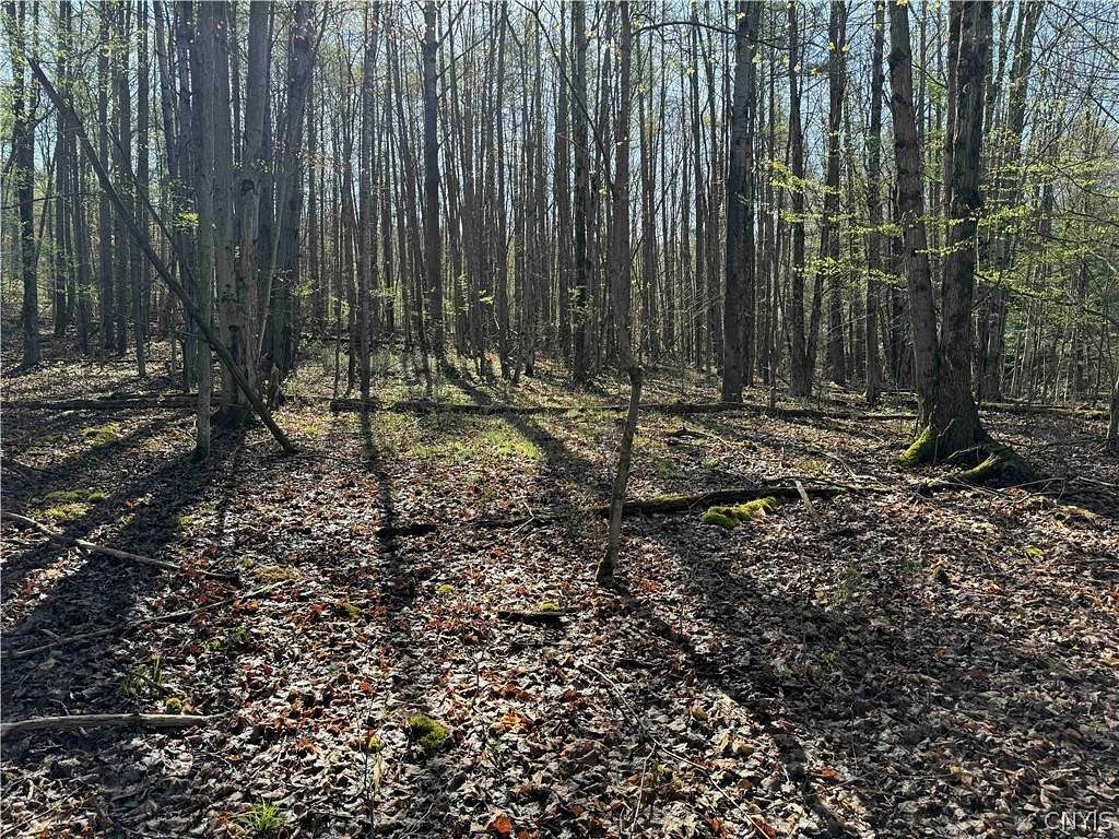 7.2 Acres of Land for Sale in Dansville Town, New York - LandSearch