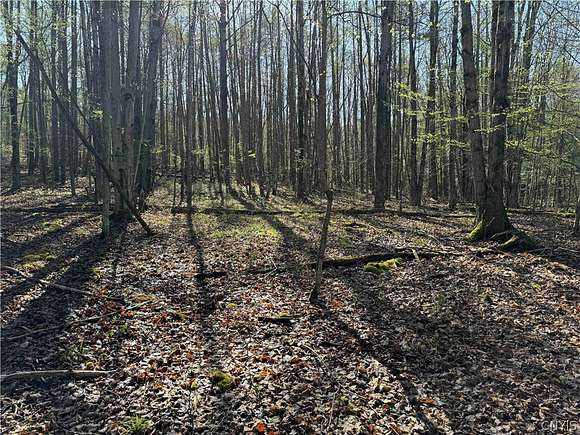 7.2 Acres of Land for Sale in Dansville Town, New York