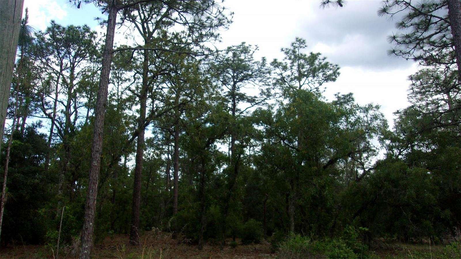 0.98 Acres of Residential Land for Sale in Dunnellon, Florida