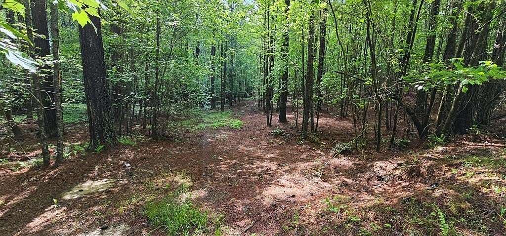 6.03 Acres of Land for Sale in Blairsville, Georgia