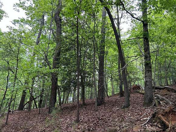 0.65 Acres of Residential Land for Sale in Ellijay, Georgia