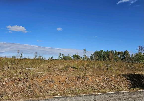15 Acres of Commercial Land for Sale in Edgefield, South Carolina