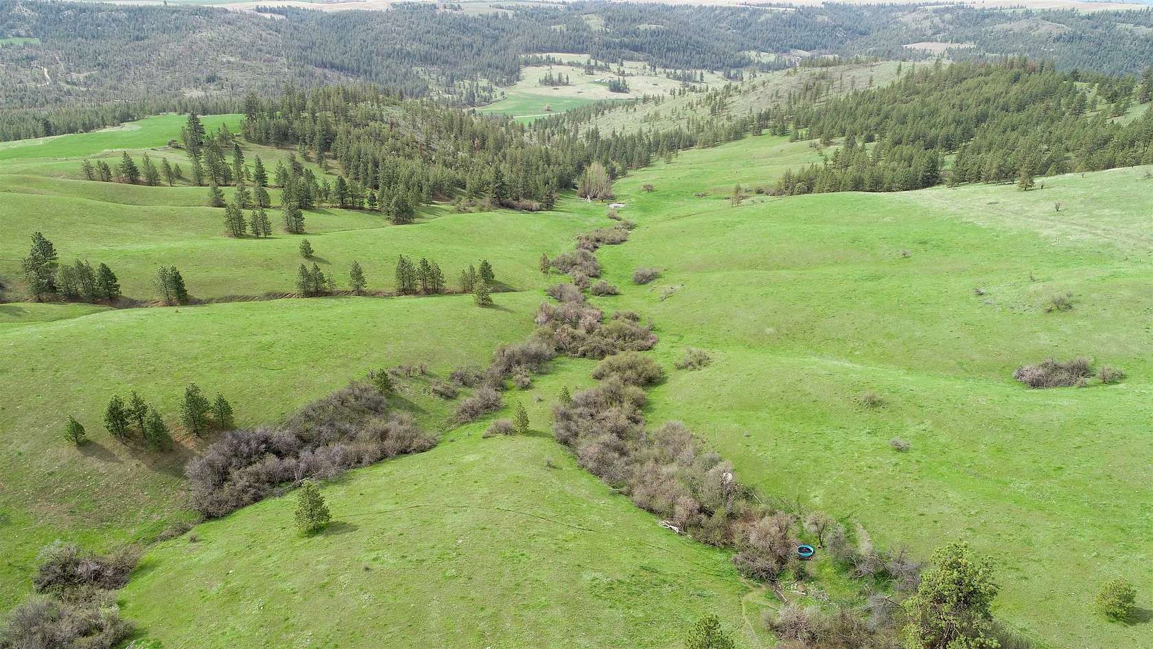 564.16 Acres of Land for Sale in Davenport, Washington