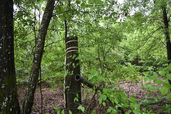 21 Acres of Recreational Land for Sale in Magnolia, Arkansas