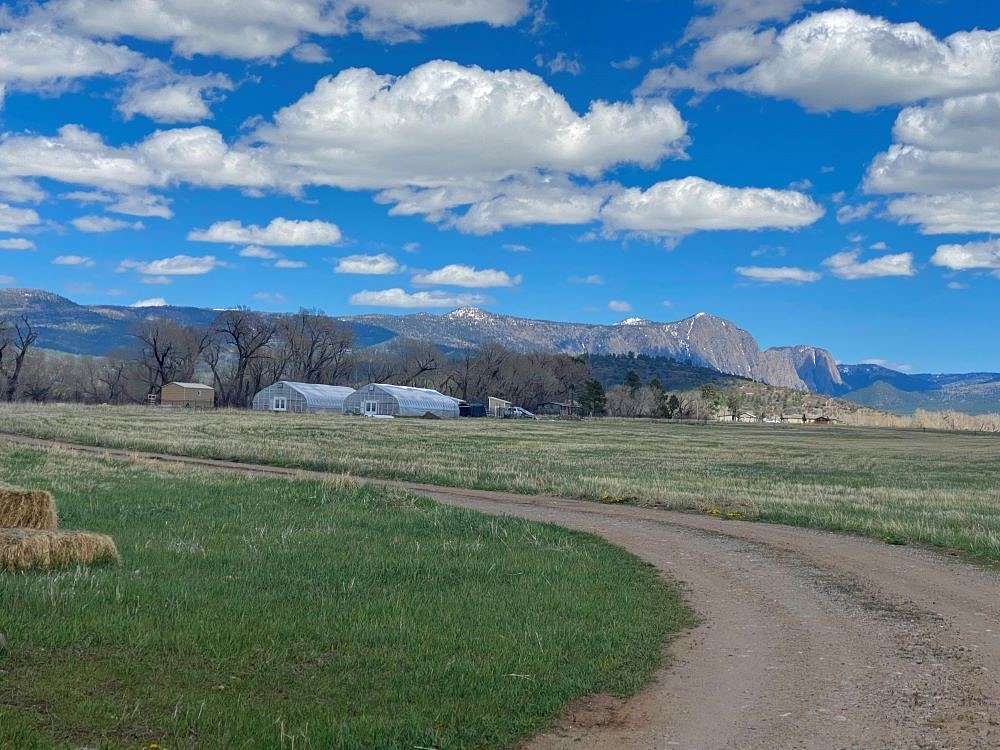 13.7 Acres of Land for Sale in Tierra Amarilla, New Mexico