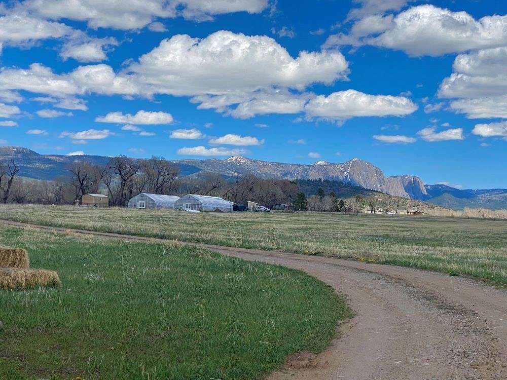 13.73 Acres of Land for Sale in Tierra Amarilla, New Mexico