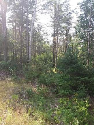 11.5 Acres of Land for Sale in Somerville, Maine