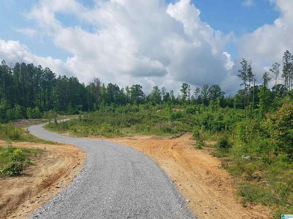 22 Acres of Recreational Land for Sale in Brierfield, Alabama
