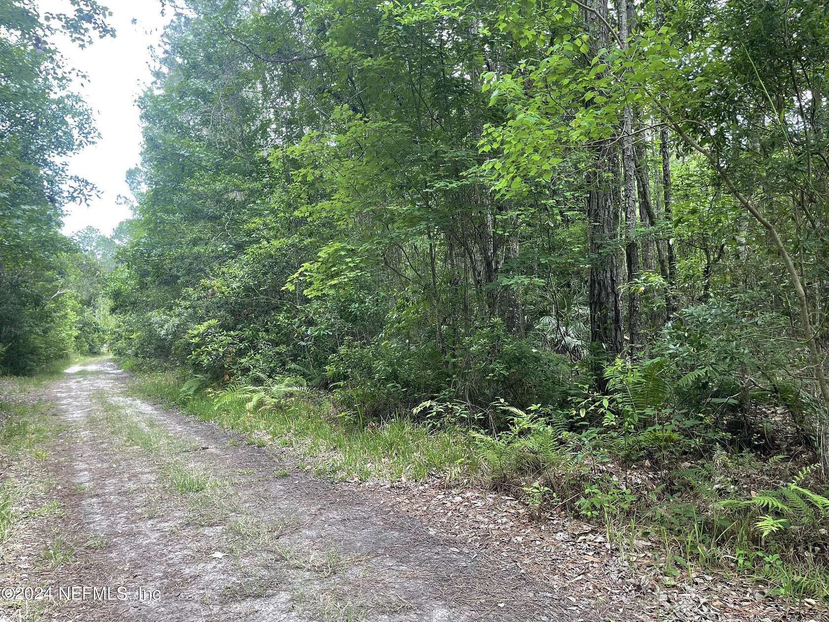 1 Acre of Residential Land for Sale in Palatka, Florida
