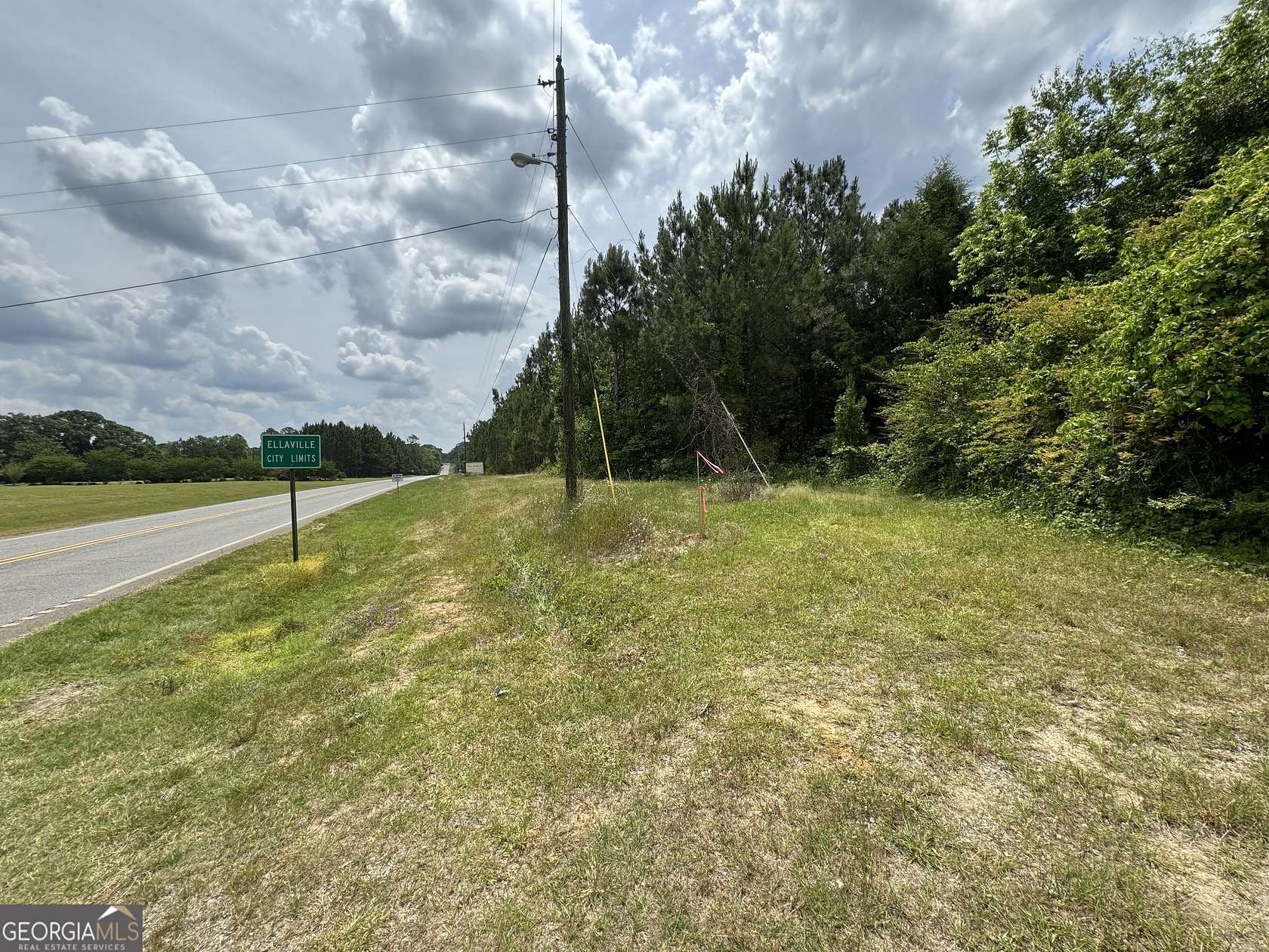 6.3 Acres of Residential Land for Sale in Ellaville, Georgia