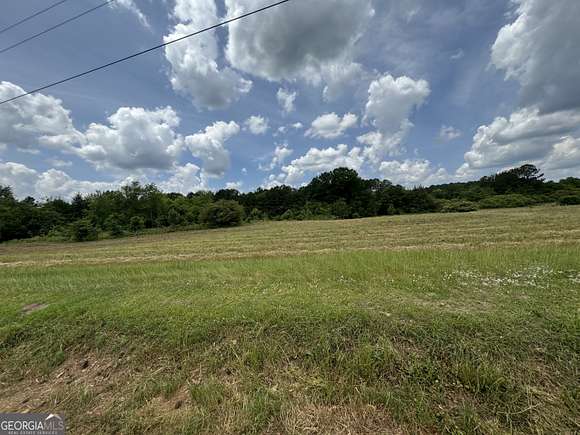 6 Acres of Residential Land for Sale in Ellaville, Georgia