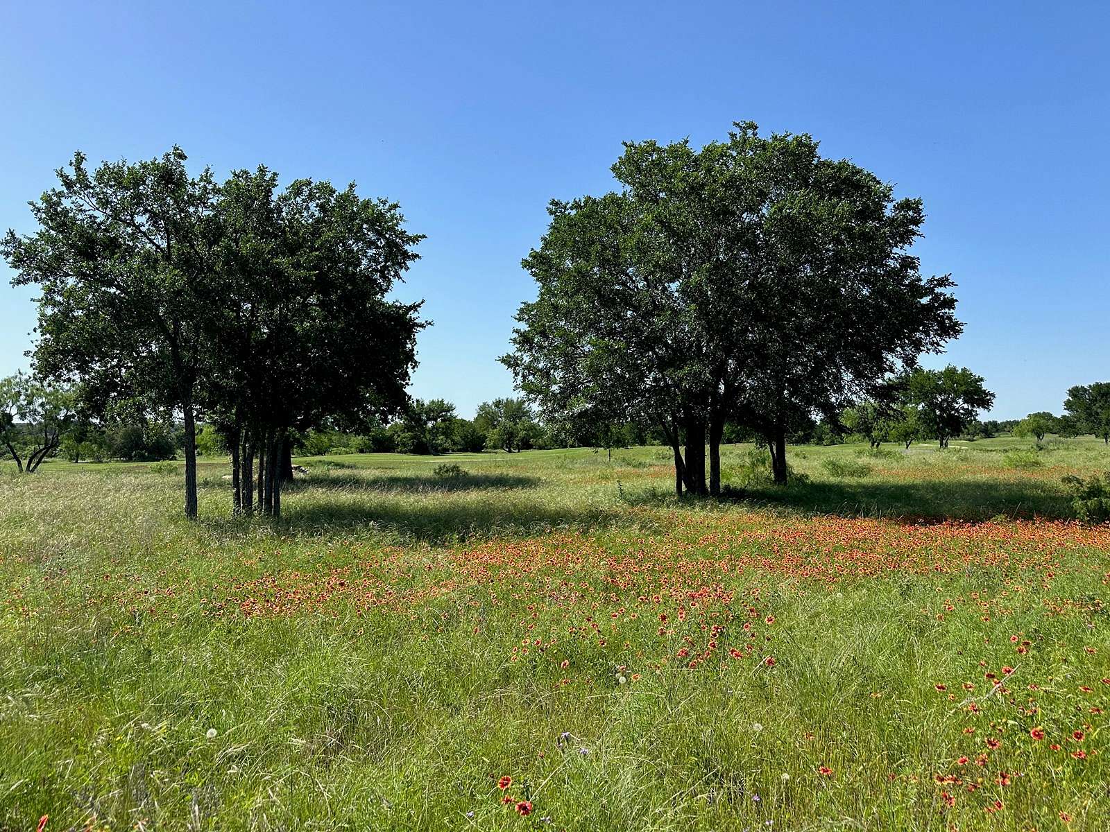 0.33 Acres of Residential Land for Sale in Brownwood, Texas
