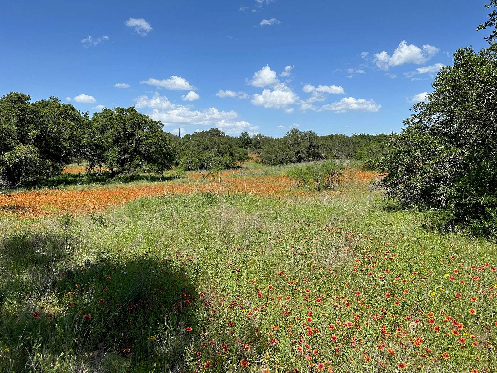 0.43 Acres of Residential Land for Sale in Brownwood, Texas