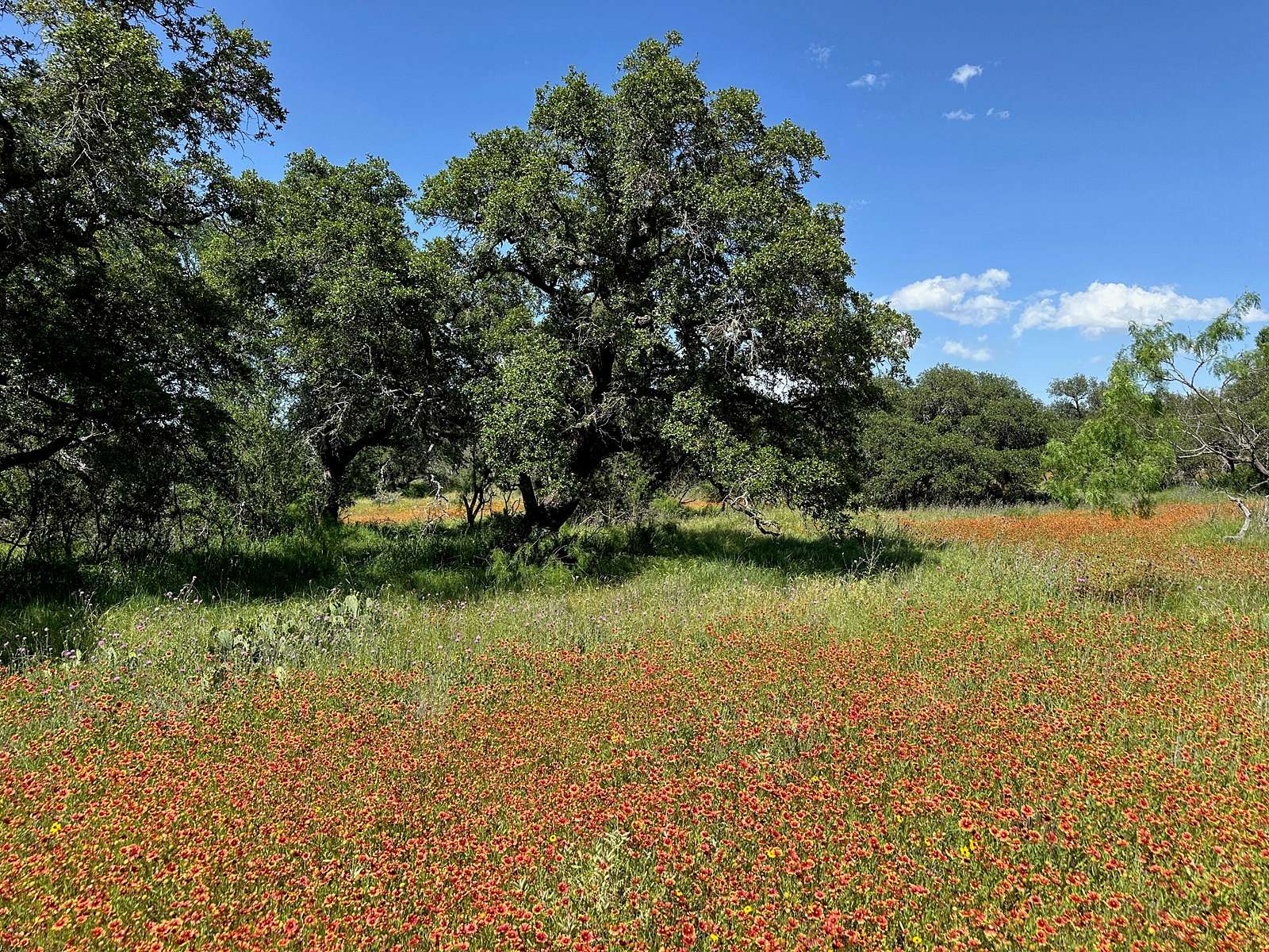 0.43 Acres of Residential Land for Sale in Brownwood, Texas