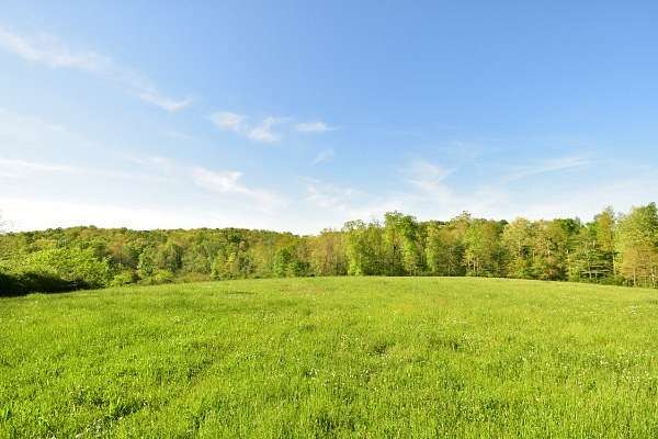 16 Acres of Land for Sale in Linden, Tennessee