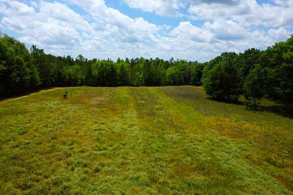 43 Acres of Recreational Land & Farm for Sale in Greenville, Alabama