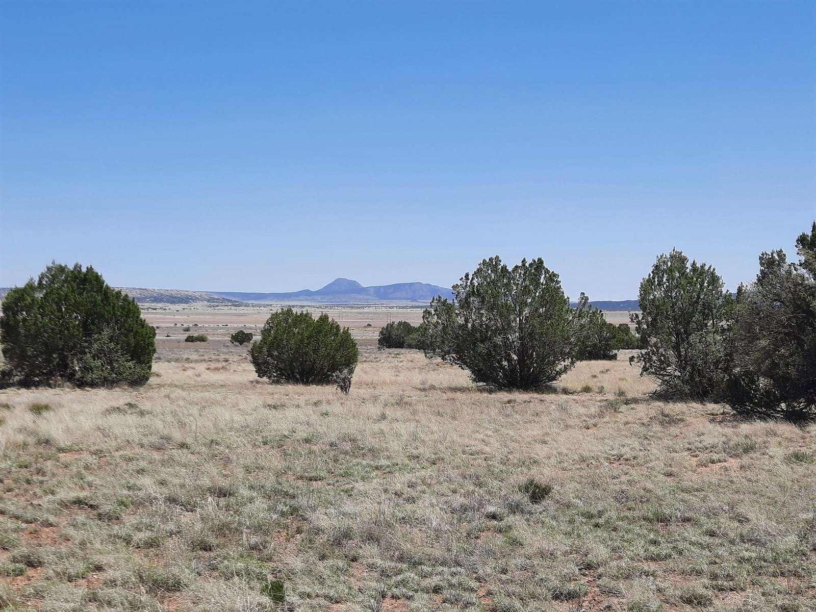 1.2 Acres of Land for Sale in Seligman, Arizona