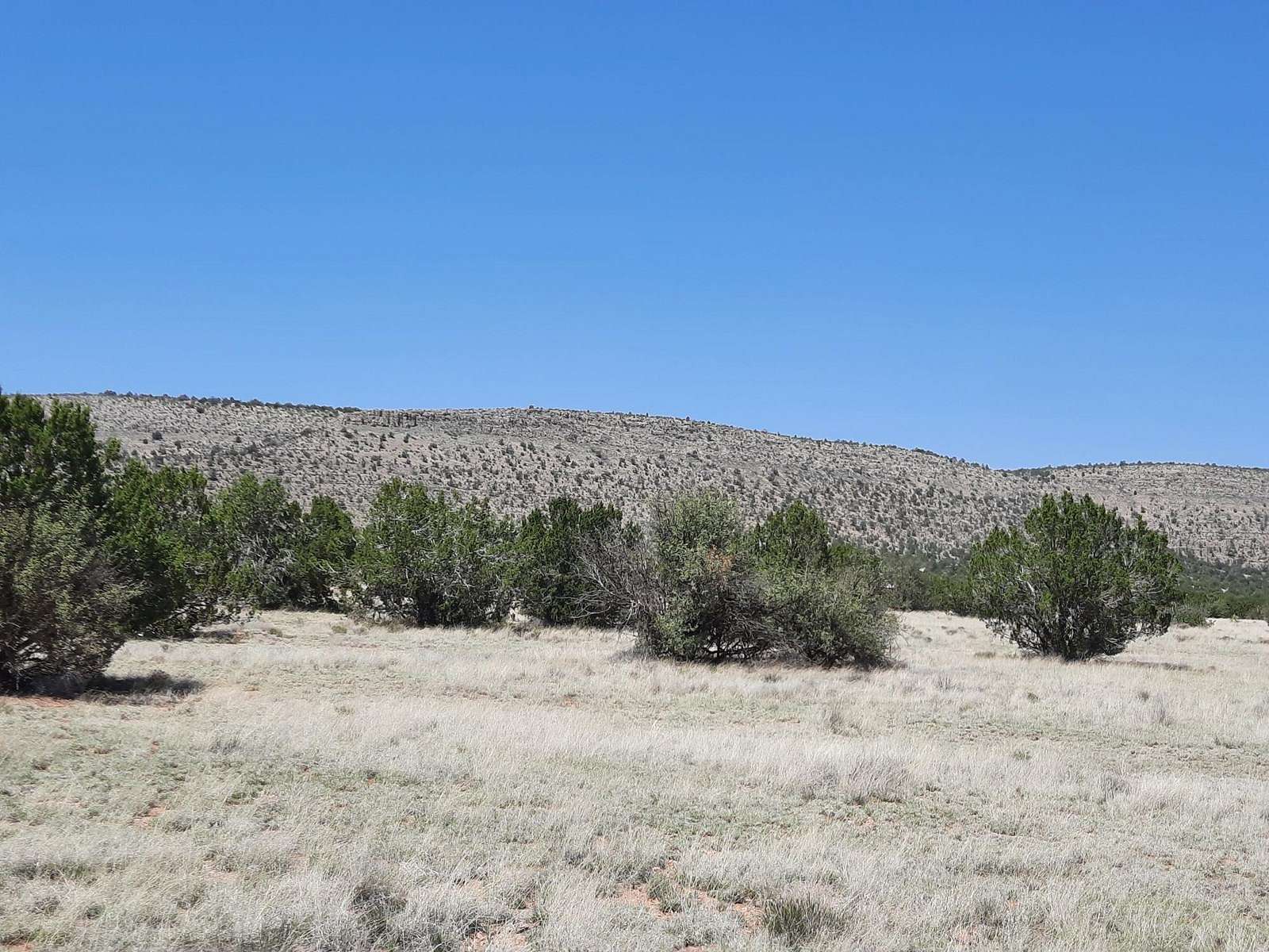 1.5 Acres of Land for Sale in Seligman, Arizona