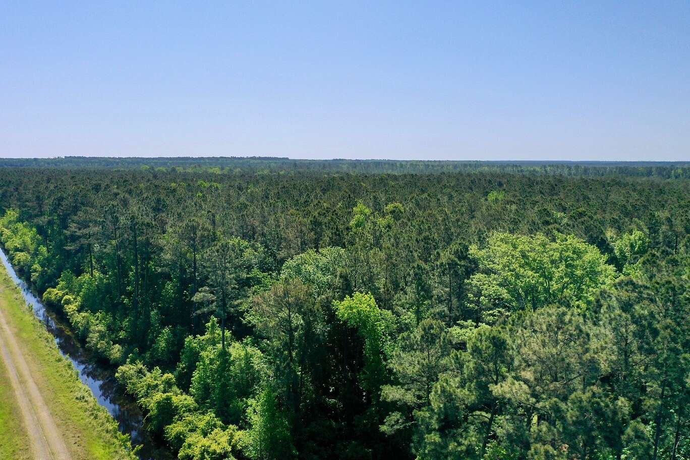 534 Acres of Land for Sale in Fairfield, North Carolina