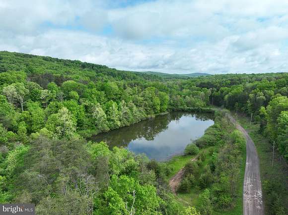 16.5 Acres of Recreational Land for Sale in Slanesville, West Virginia