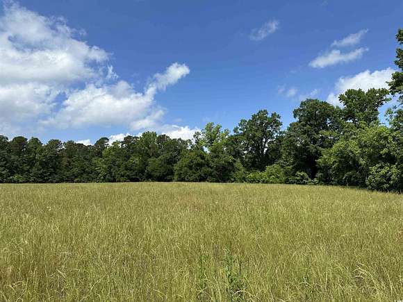 16.4 Acres of Land for Sale in Salters, South Carolina