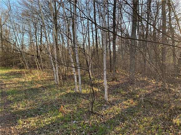 5.5 Acres of Residential Land for Sale in Bruce, Wisconsin