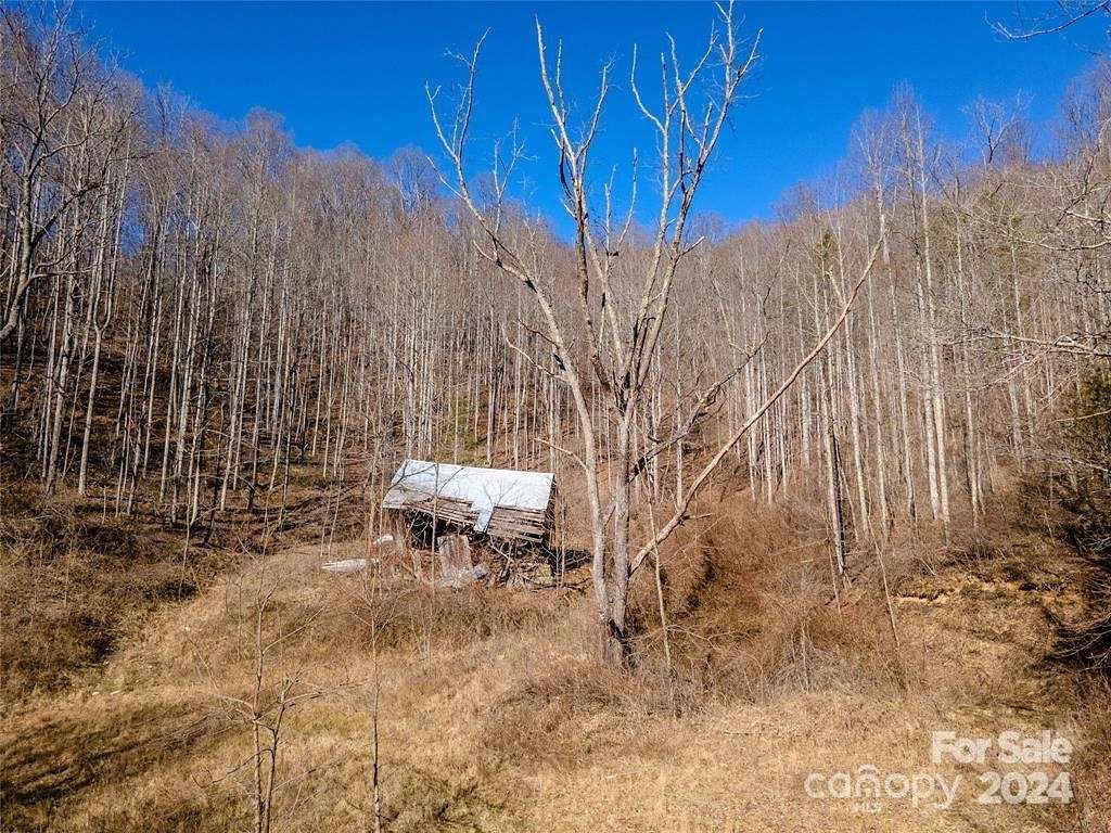 66 Acres of Land for Sale in Hot Springs, North Carolina