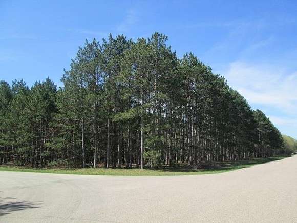 1.5 Acres of Residential Land for Sale in Friendship, Wisconsin