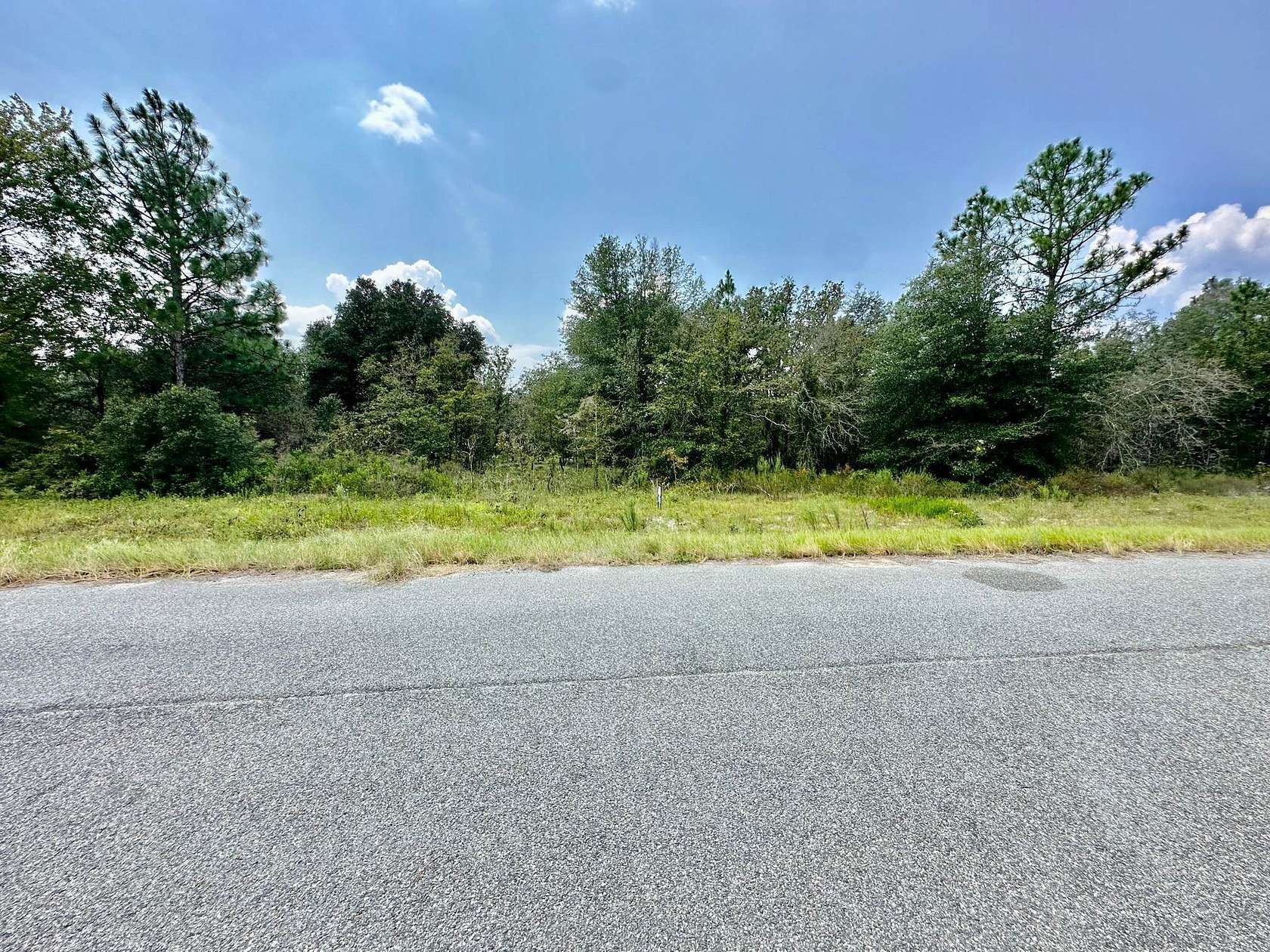 4.01 Acres of Land for Sale in Twin City, Georgia