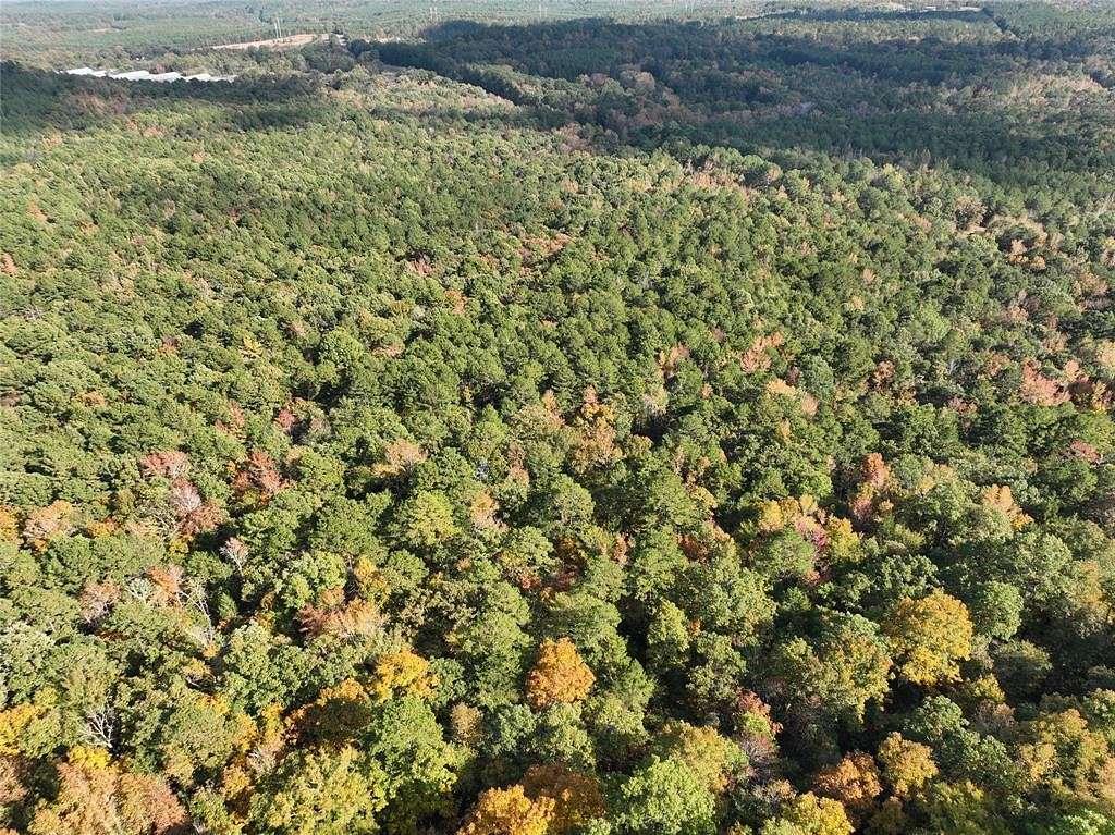 26.8 Acres of Recreational Land for Sale in Pittsburg, Texas