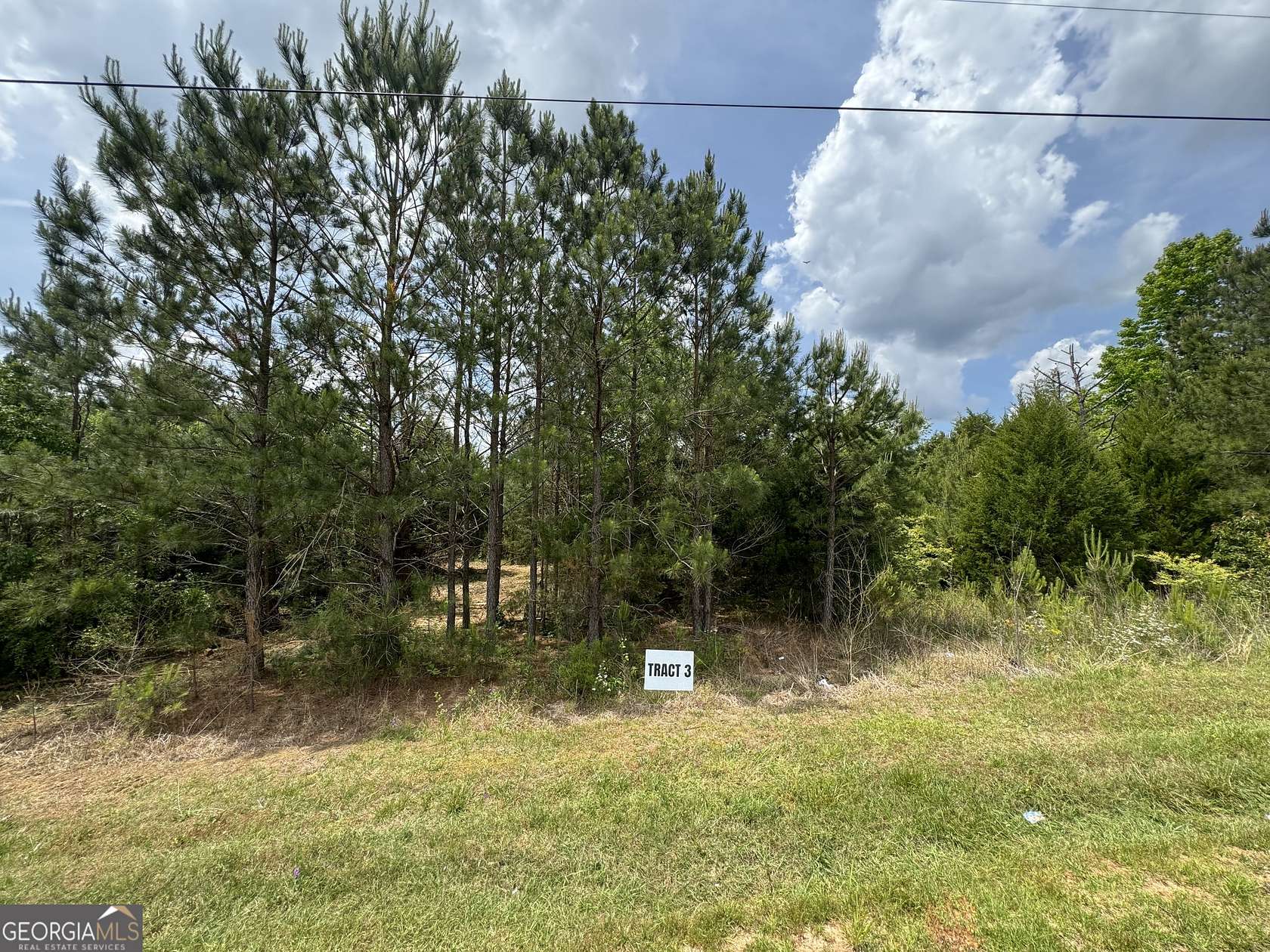 5 Acres of Residential Land for Sale in Ellaville, Georgia
