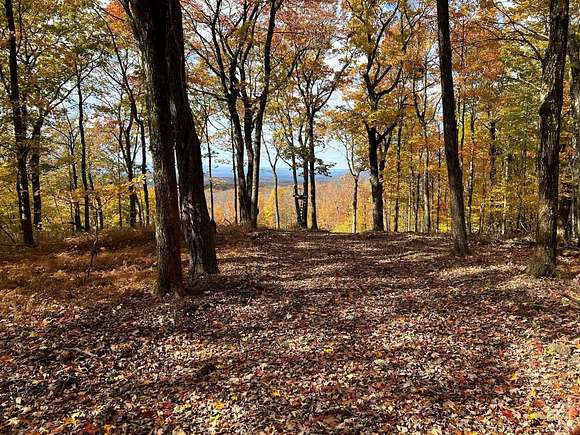 275 Acres of Recreational Land for Sale in Austerlitz, New York
