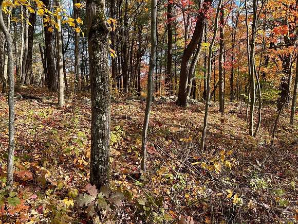 70 Acres of Land for Sale in Austerlitz, New York