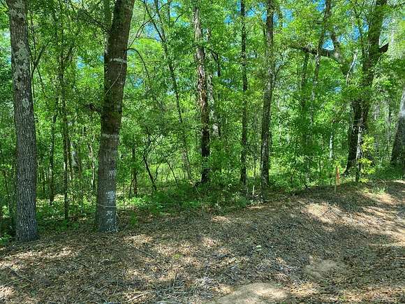 11.5 Acres of Land for Sale in Newton, Alabama